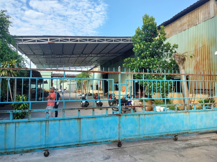 a2eafc6a8d283080dea1.jpg