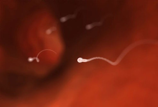 a2fda49e7bd8d953854c.jpg
