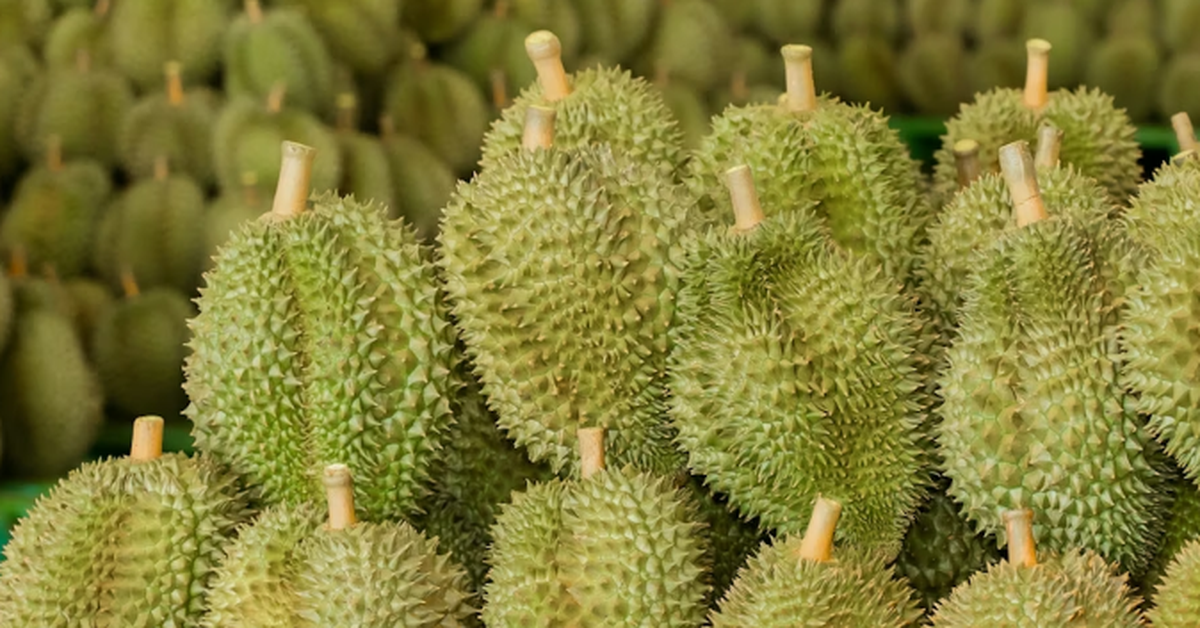 a31f687190af9f1347b2.png