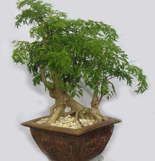 a33c79fa142de7cdf97d.jpg