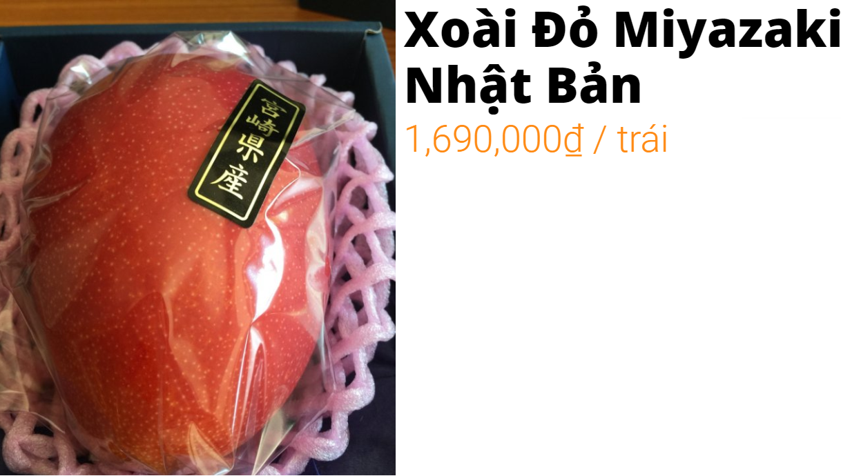 a35e694bc3909418c17c.png
