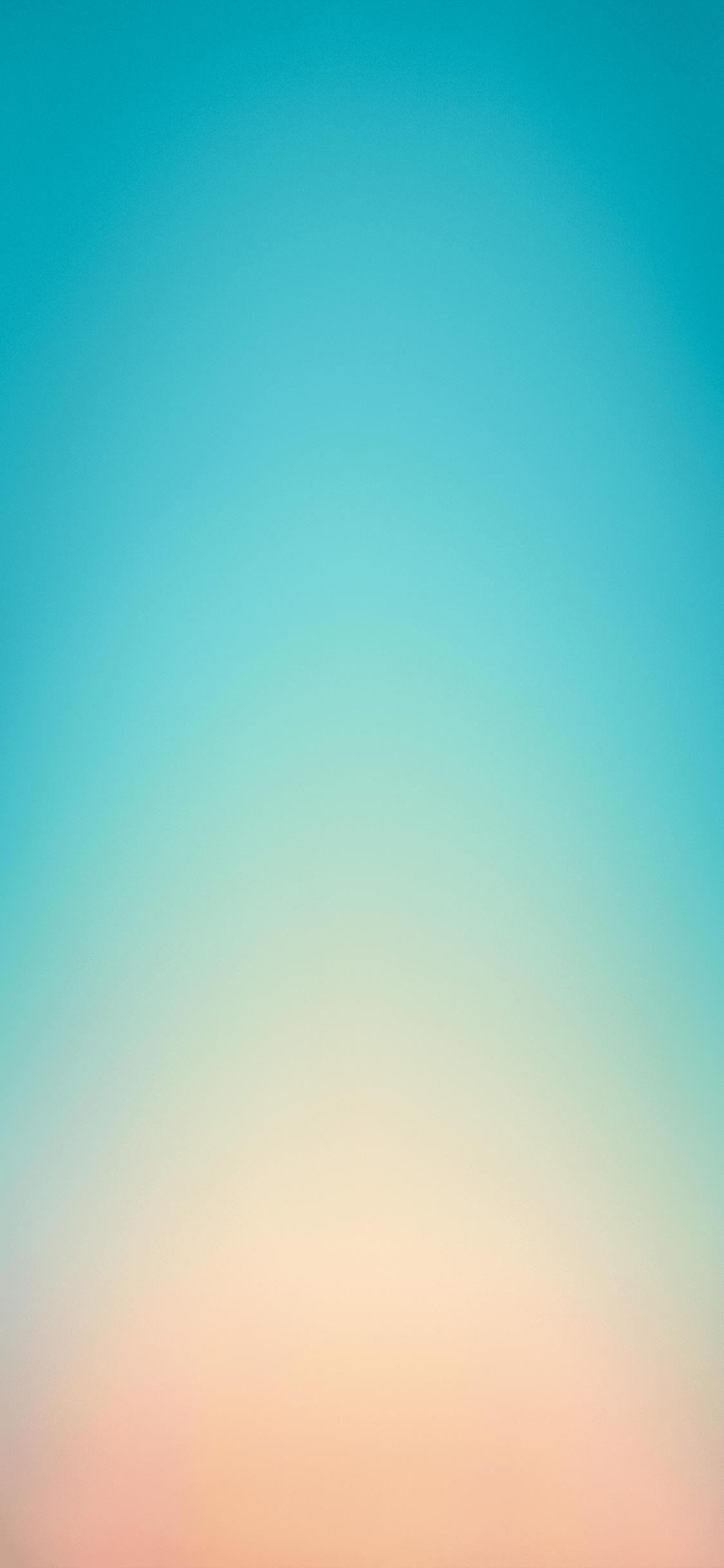 a365495d39267277498b.png