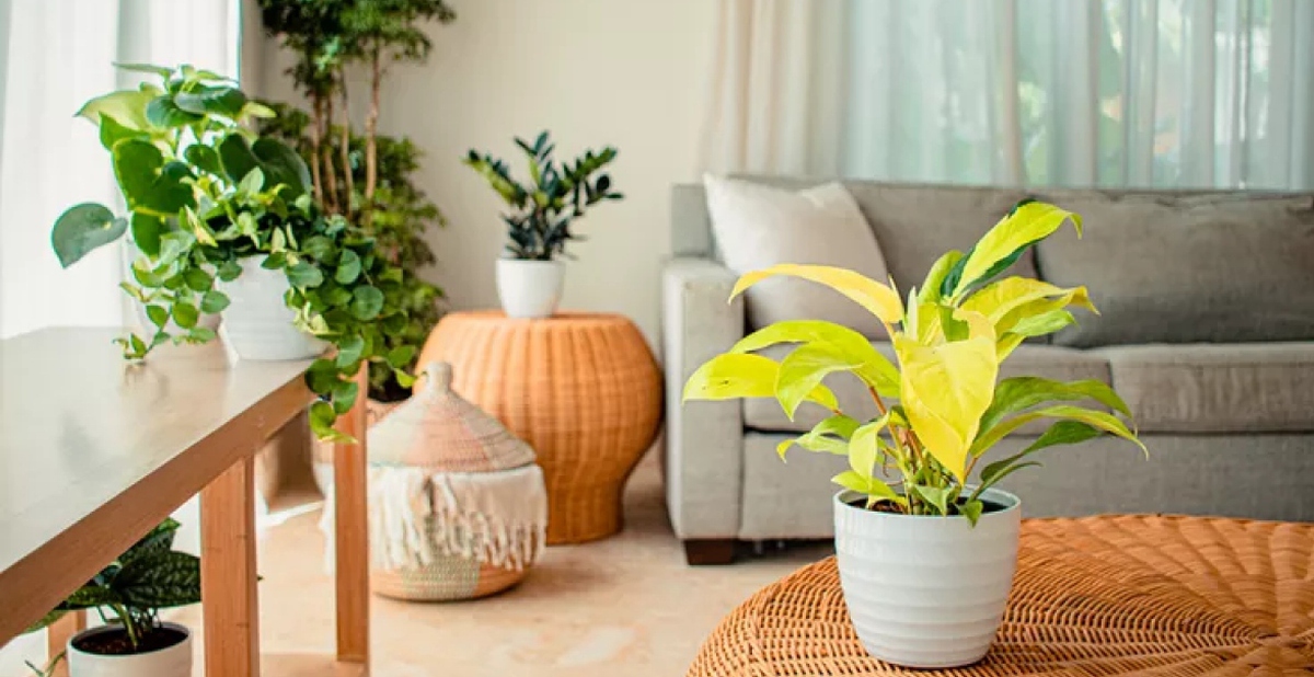 a36f62199e492d3a3abf.jpg