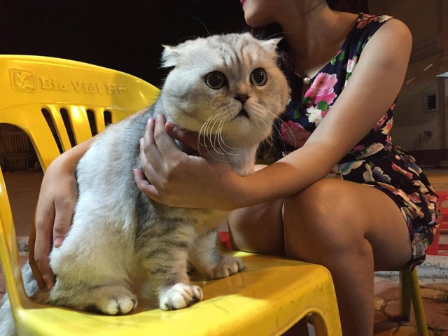 a37f50d9e1c6e05c13e3.jpg