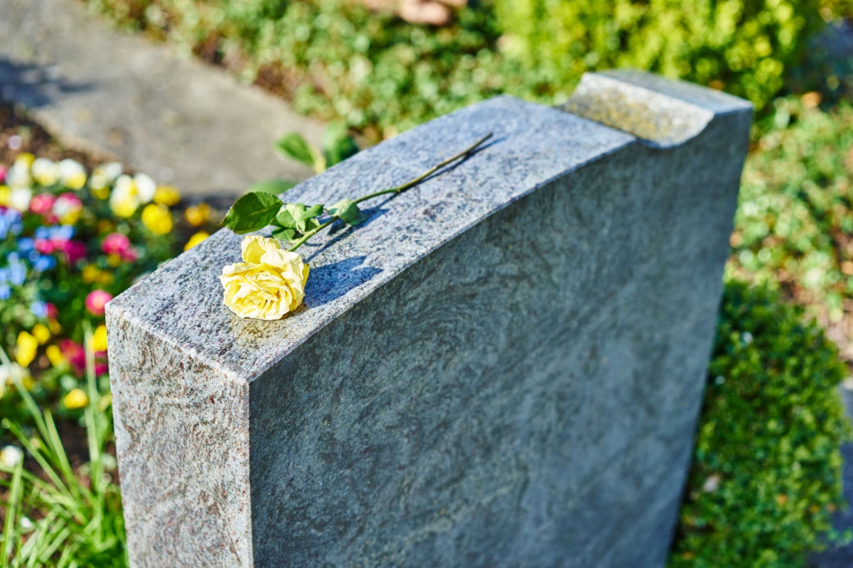 a399bfe285c31d179192.jpg
