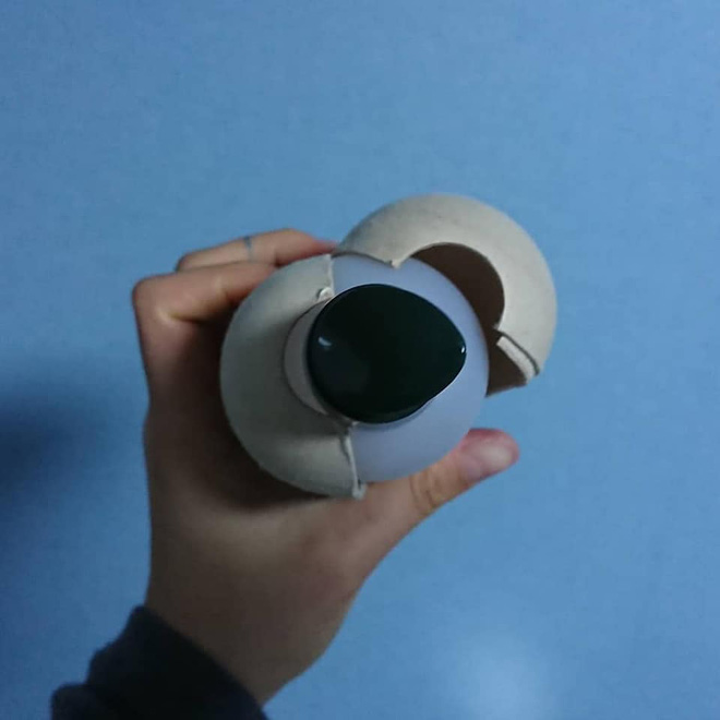 a3b50498030b69eb456a.jpg