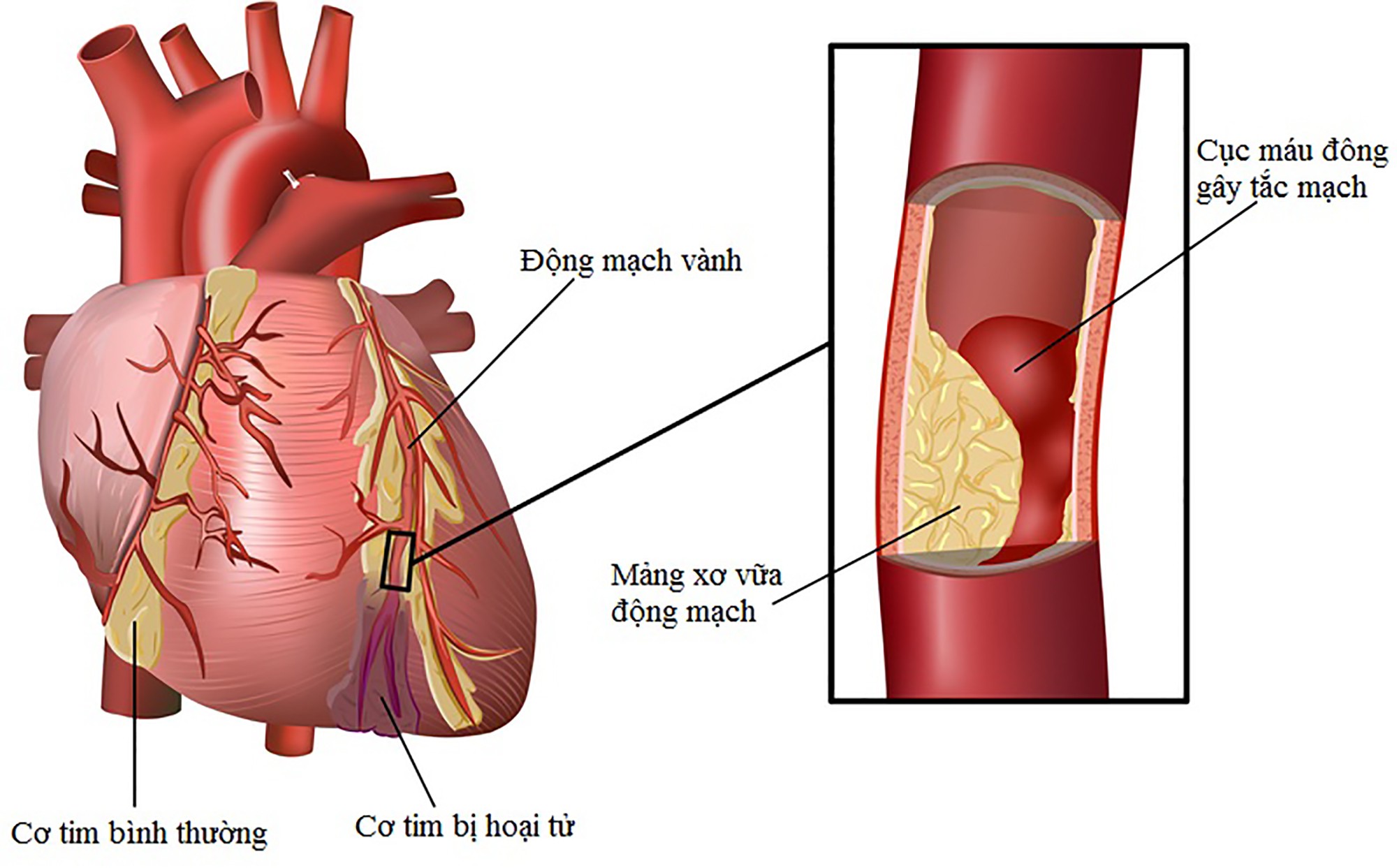 a3d5b8f8c488c6d58351.jpg