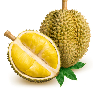 a3e46f57d1135014eb97.png