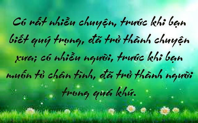 a40e8aa6c47c287c9e95.jpg