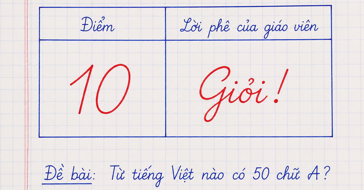 a42ddf5b1a3f34530558.png
