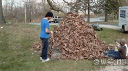 a44302243380cd24c6d6.gif