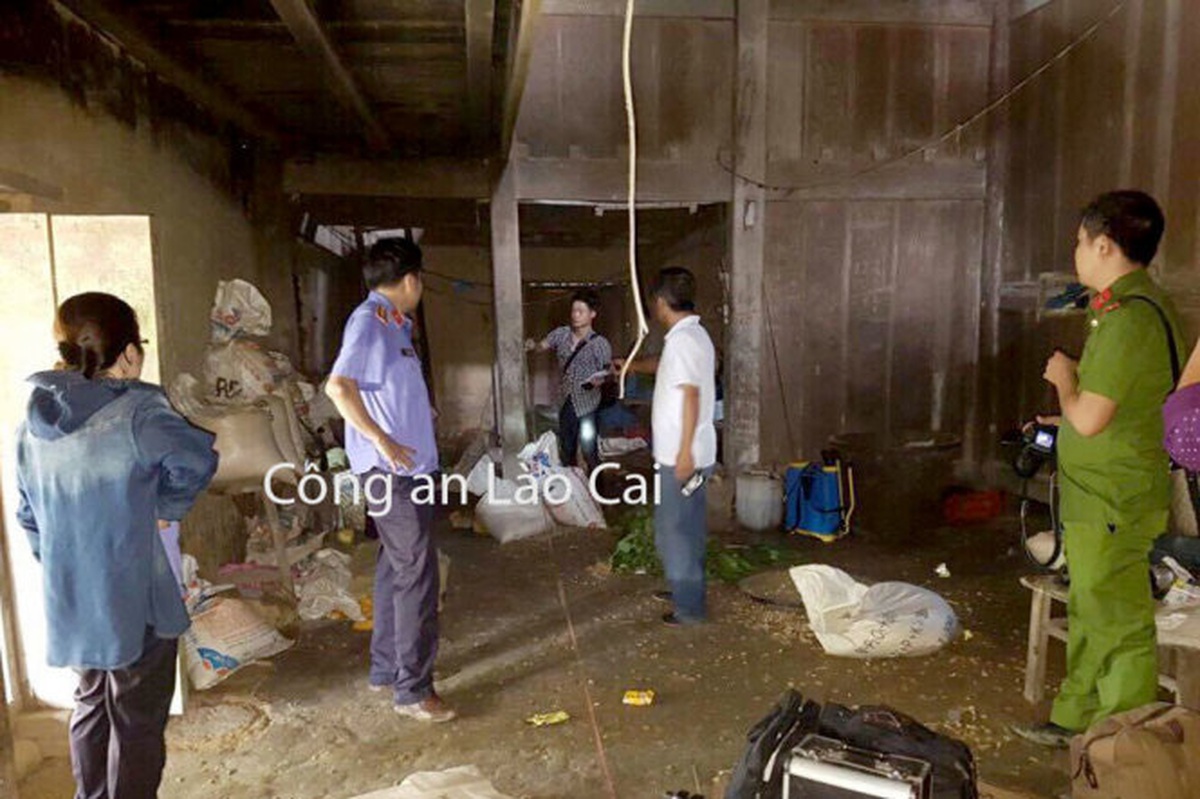 a44ead1b4f2cb15559ac.jpg
