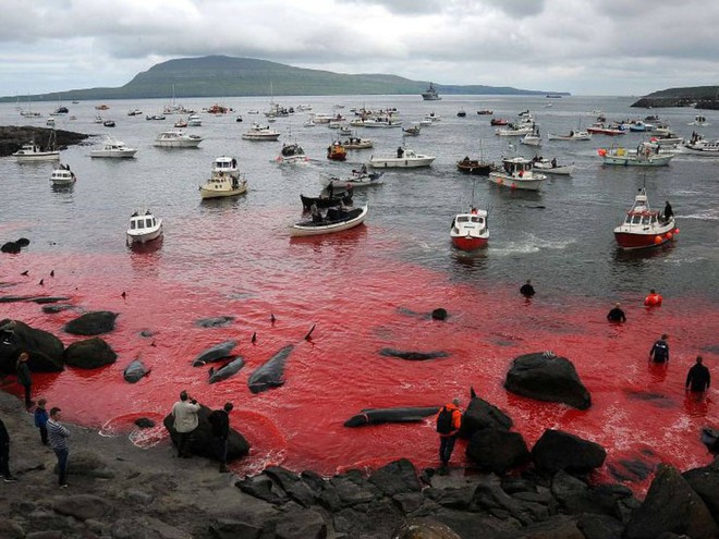 a468c1602e5ec7db06a7.jpg