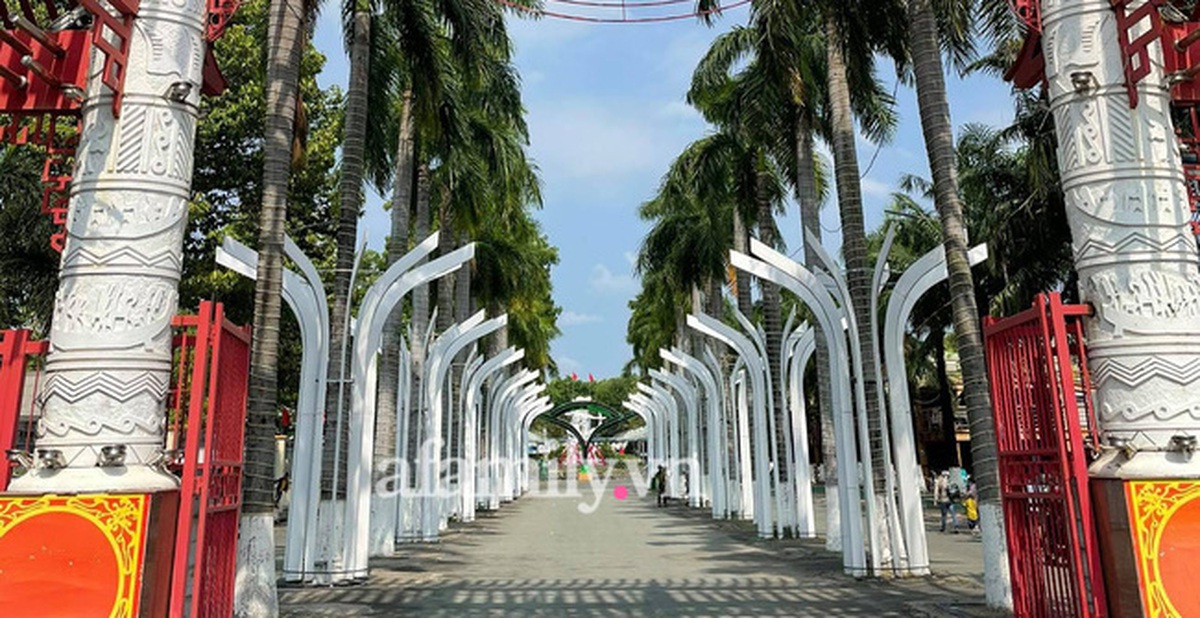 a50ff3b5bdb9ecf622ee.jpg