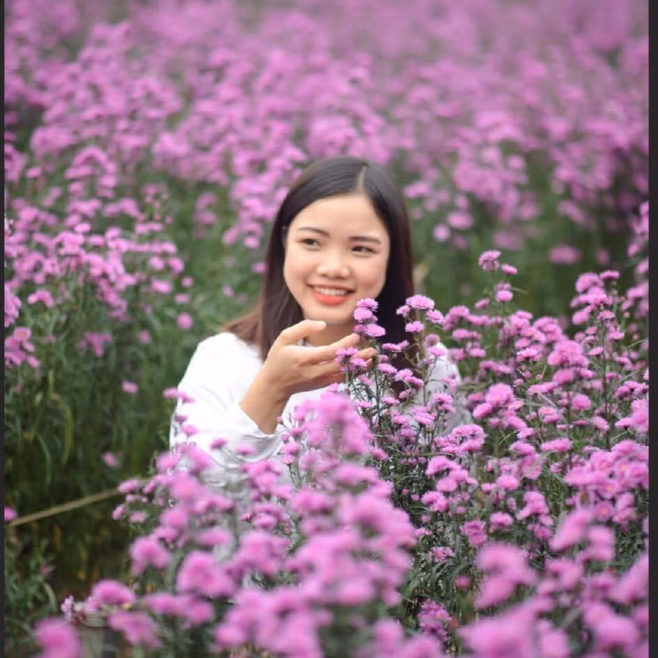 a517c49b4706cc878518.jpg