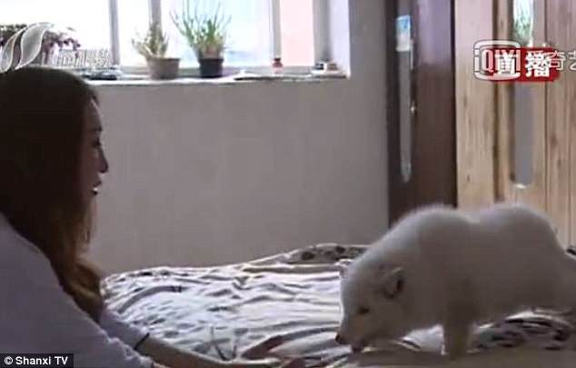 a5567e0ad3b86f567a54.jpg