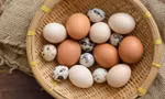 a558daaaa9923404b0b8.jpg