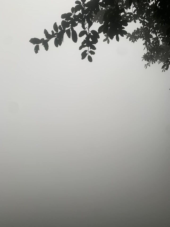a55dc21cf90cceb27de8.jpg