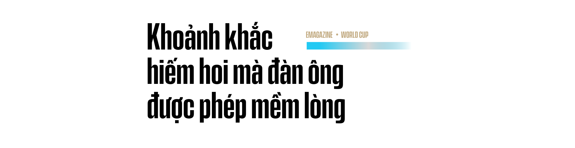 a59f83d37b17b029422c.png