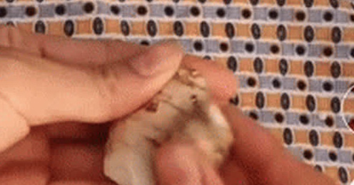 a5b18bc6cdfa55b9b77d.jpg