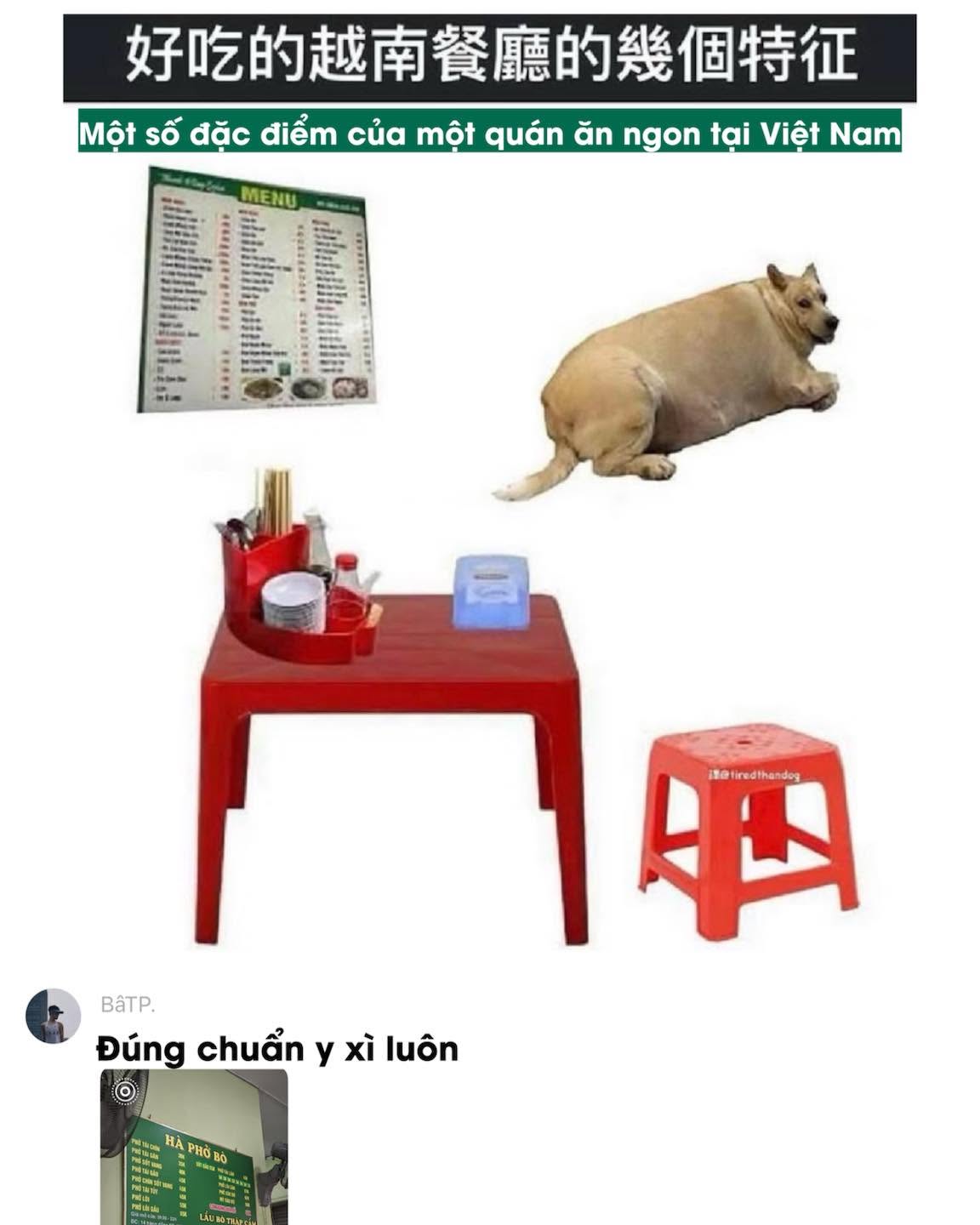 a5bcc0ed10b398a00052.jpg