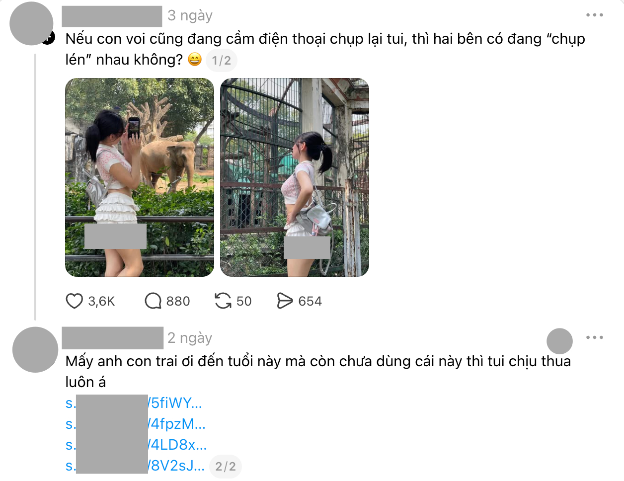 a62a83637e5c94d5cdd9.jpg