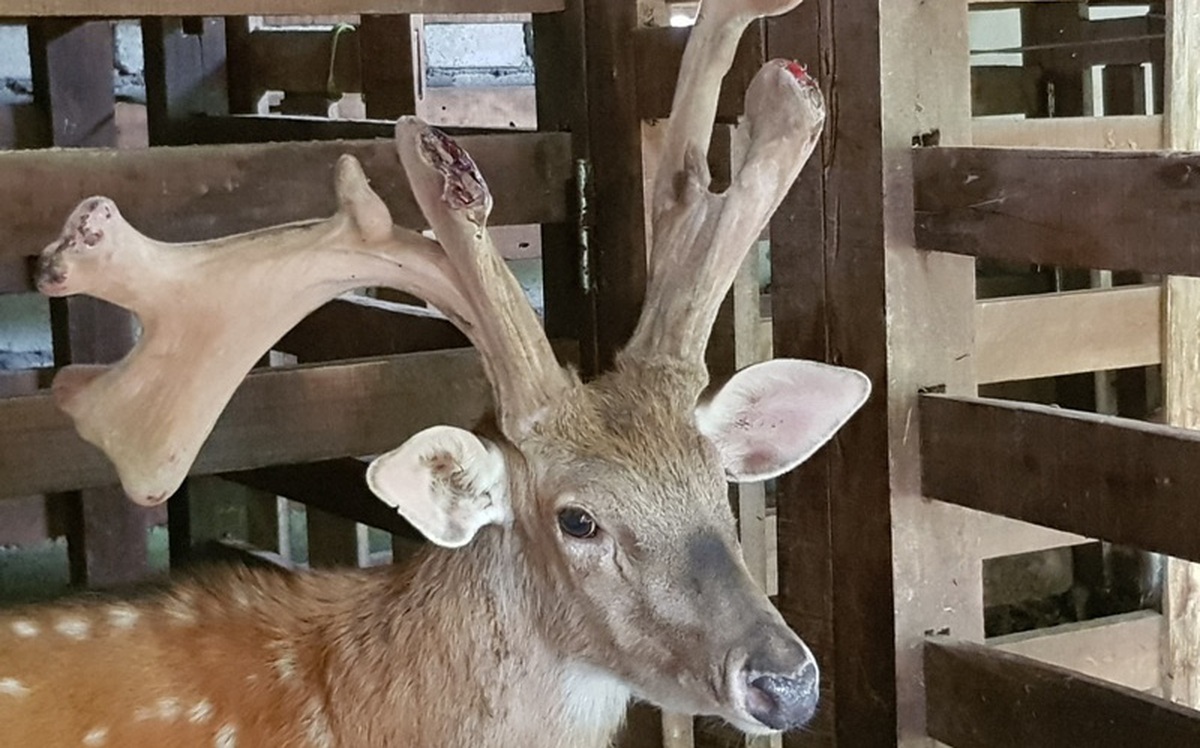 a650f5ee2d1905c37d27.jpg