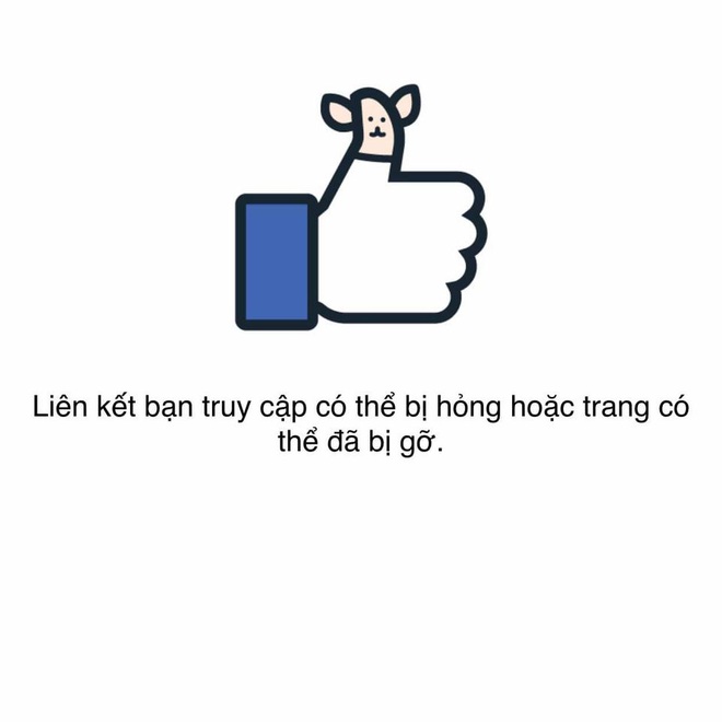 a65dc6e5ea3ea3b1656e.jpg