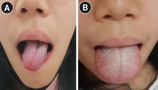 a68075291215ad875e3f.jpg