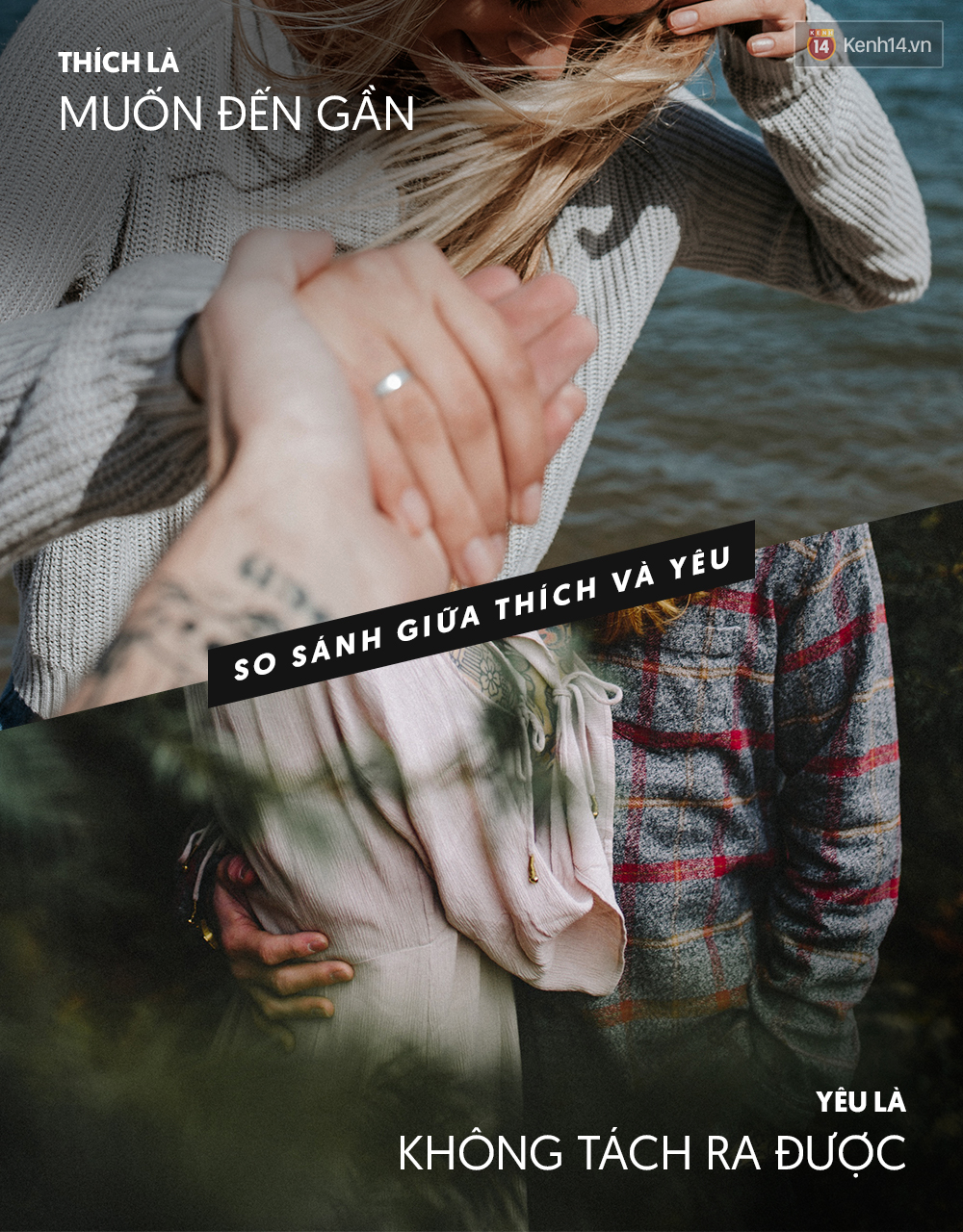 a68e297d10c57f977450.jpg