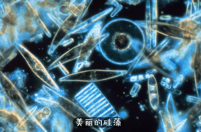 a6bde47f8ad4d39c4d12.jpg