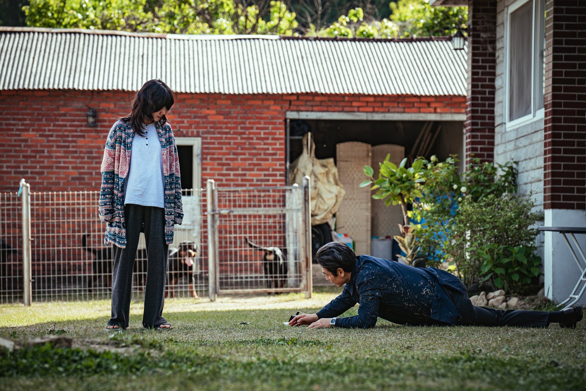 a6d9417fc21be512507d.jpg