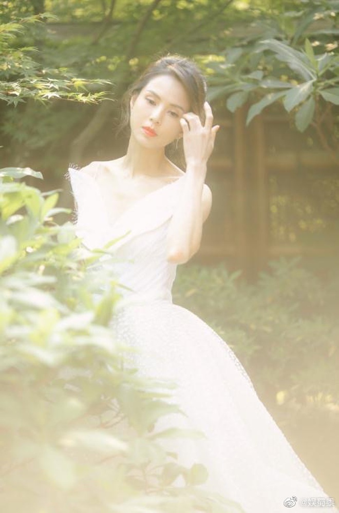 a6f6b1005d3ad8cb3354.jpg