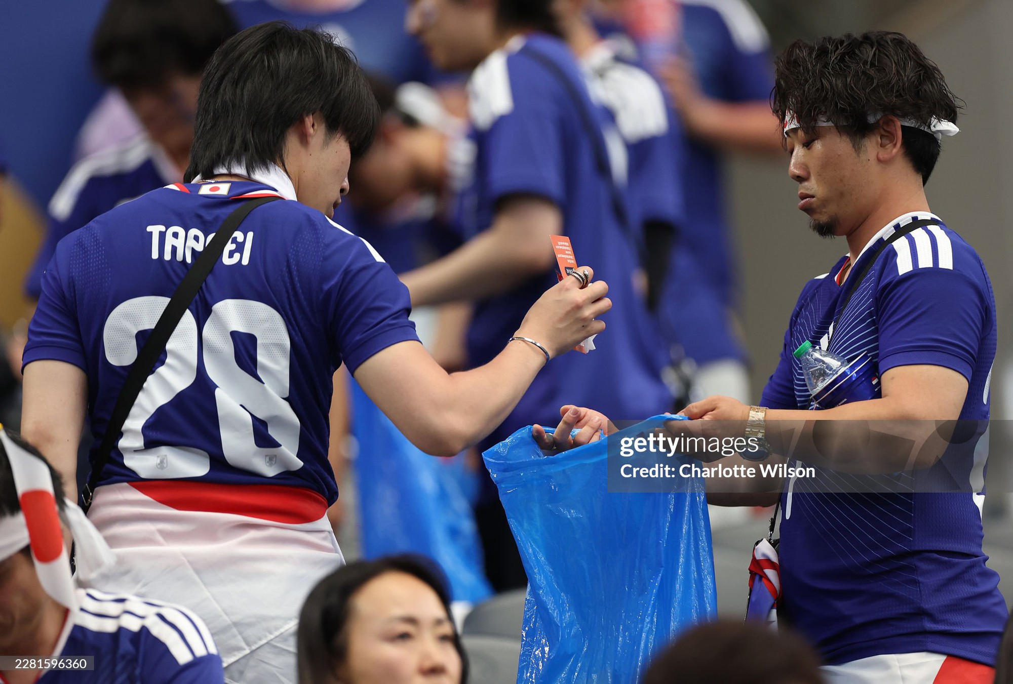 a700ca752f20fba0f786.jpg