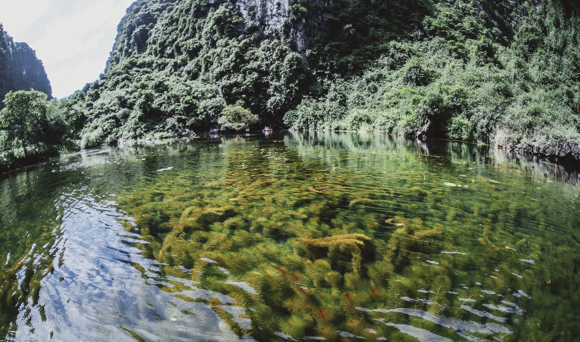 a72cf892ca3751972563.png