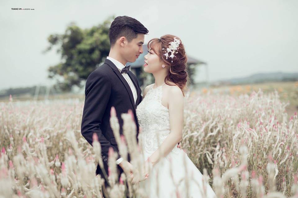 a738aaf49b546b36f50b.jpg