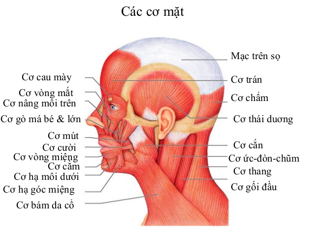 a74ecd852131deab6e71.jpg