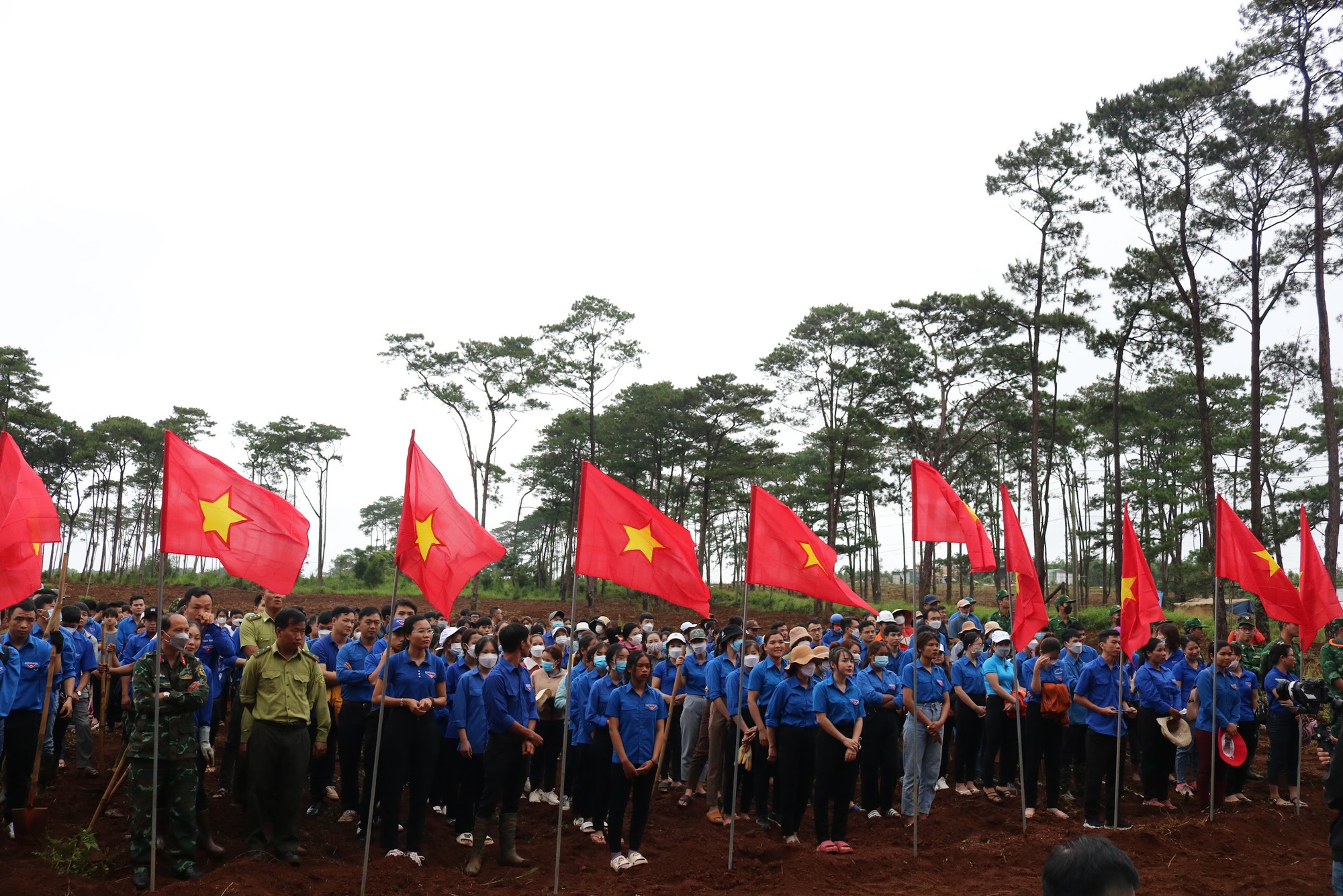 a766cf26bdd28ffc80c7.jpg