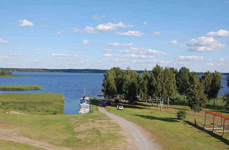 a76e31952080cf882ad8.jpg