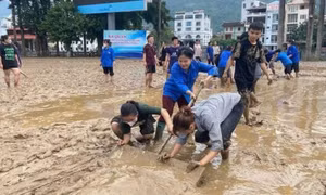 a791504eeea85120e8dd.jpg