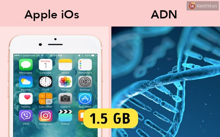 a7be702da1db5fa47898.png