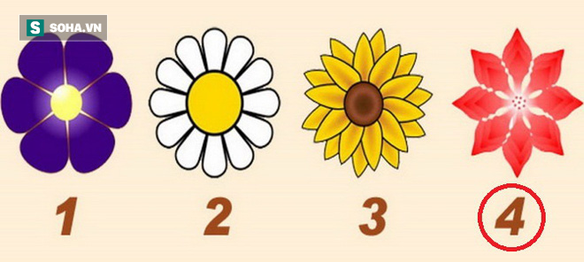 a7c2e1ad99c54a84c6db.png