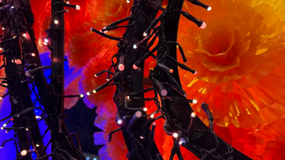 a7c3d9dca1612aae3880.png