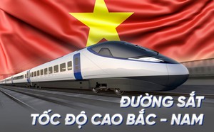 a7d49416baf8fa80c6fe.jpg