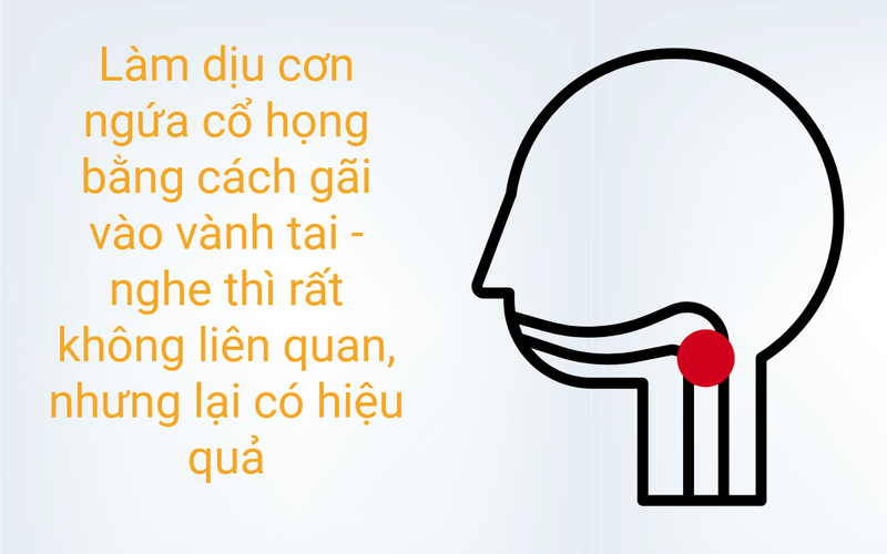 a7da58cf68e0d4cafc54.png