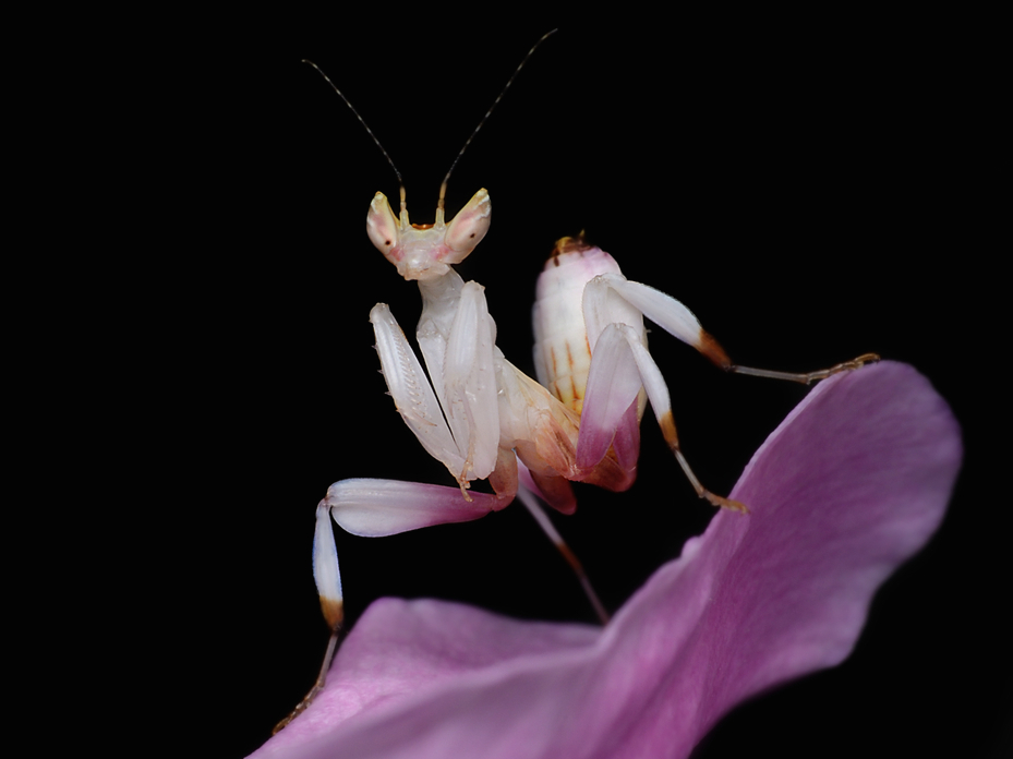 a7db7310700c57cf6000.jpg