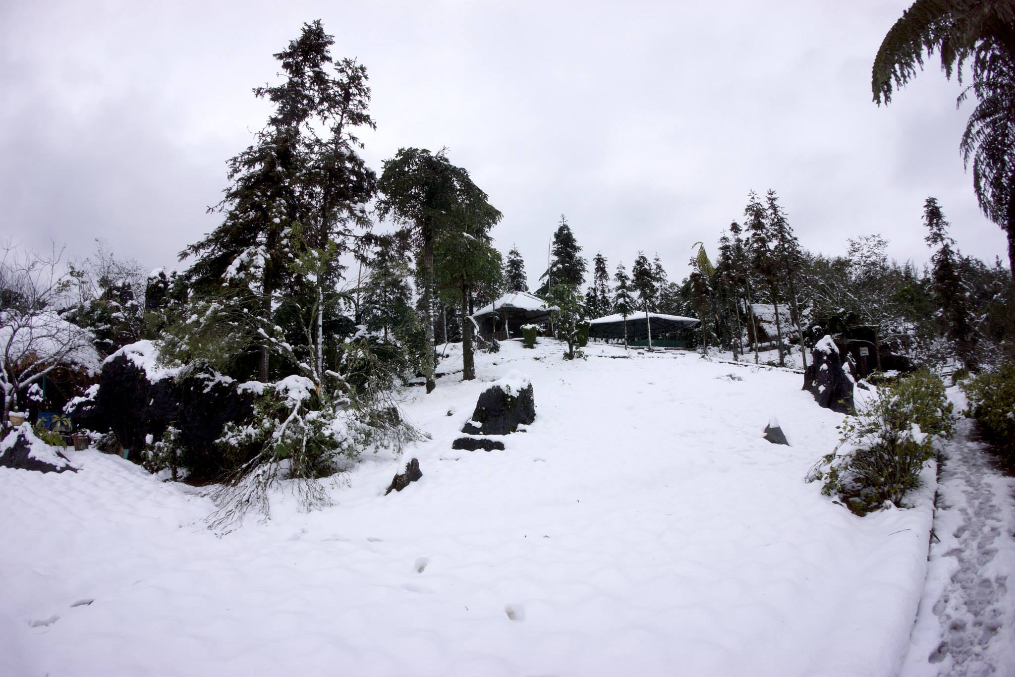 a841c0619a837e44b372.jpg