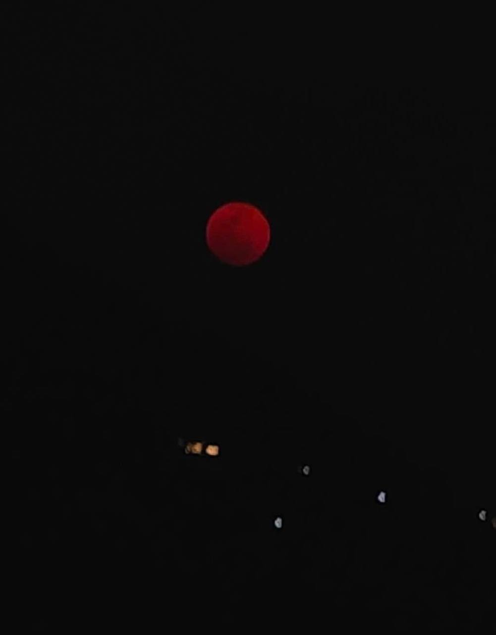 a85628627e94043ff0dd.jpg
