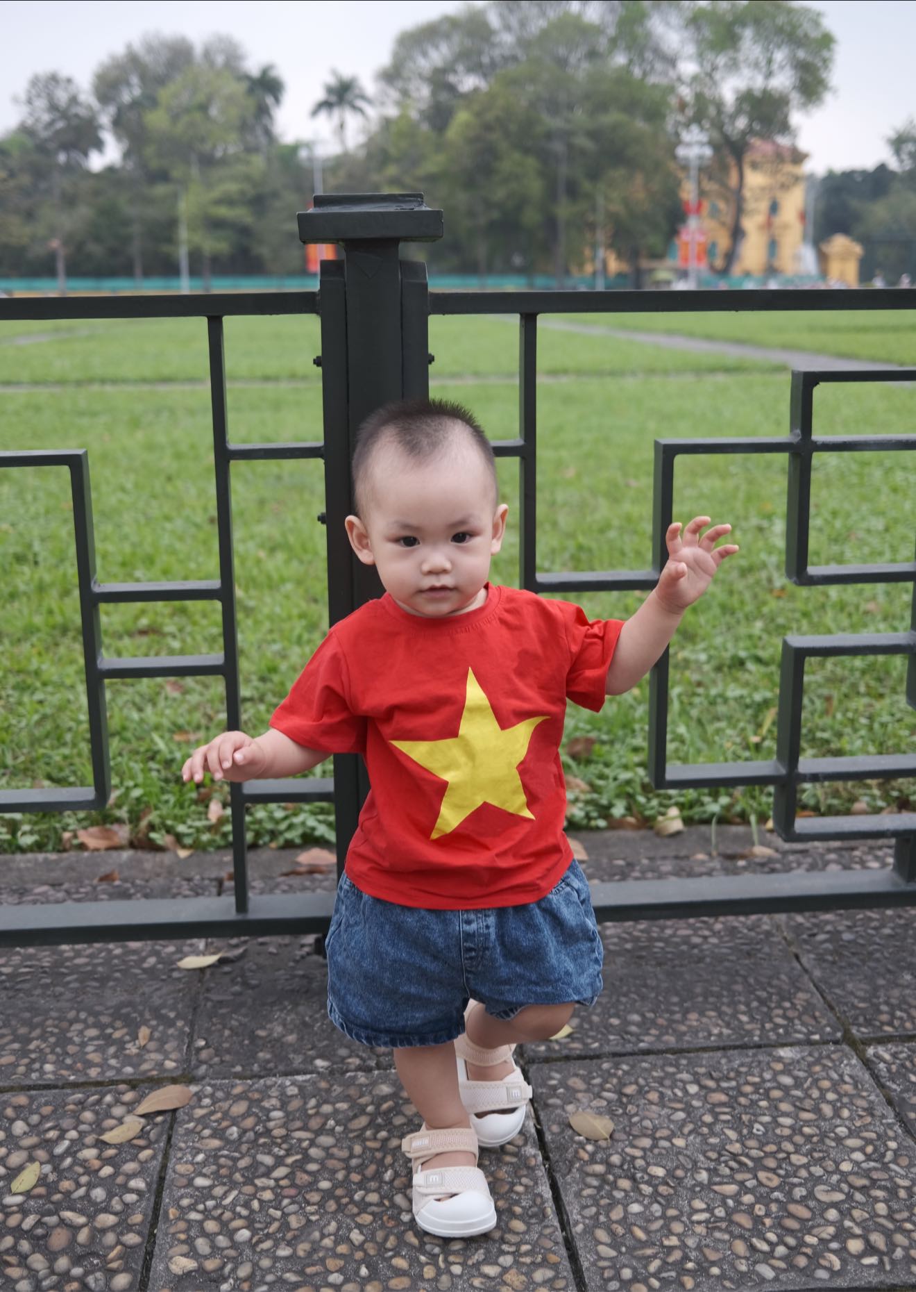 a8685d5e72c9f0ddd0f4.jpg