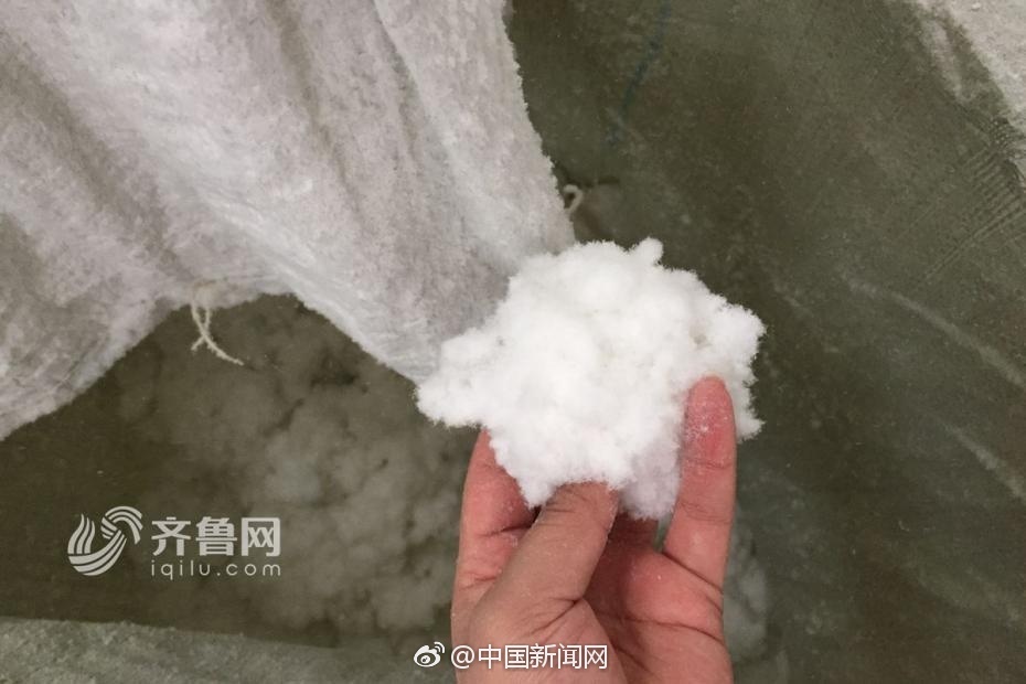 a86c498e3a8beb996bc6.jpg